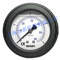 PP充油式隔膜压力表334.64-台湾协钢SKON 